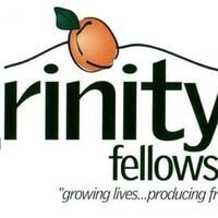 Trinity Fellowship Assembly of God