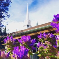 Grace Lutheran Church