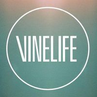 Vinelife Church