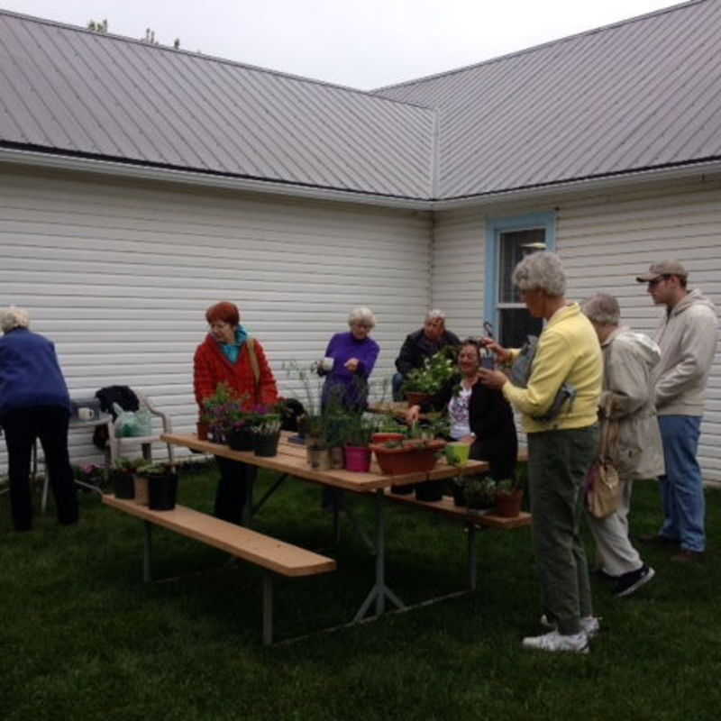 Annual Christ Church Spring Plant Sale & Tea  Saturday May 30, 2015