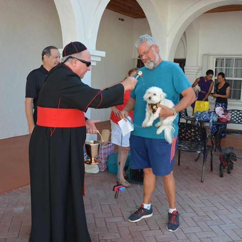 Blessing of the Animals 2015