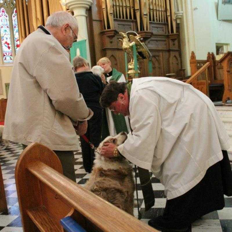 Blessing of the Animals 2012