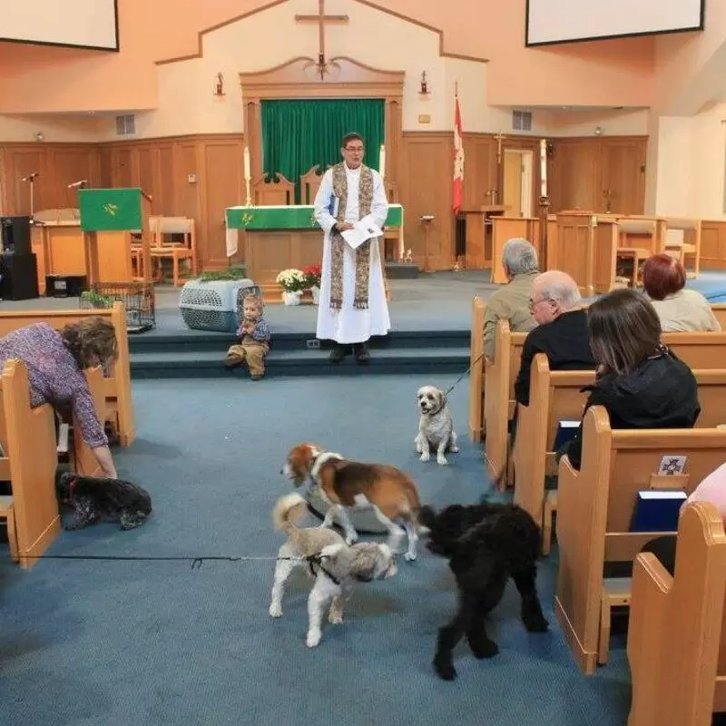 2016 Blessing of the animals