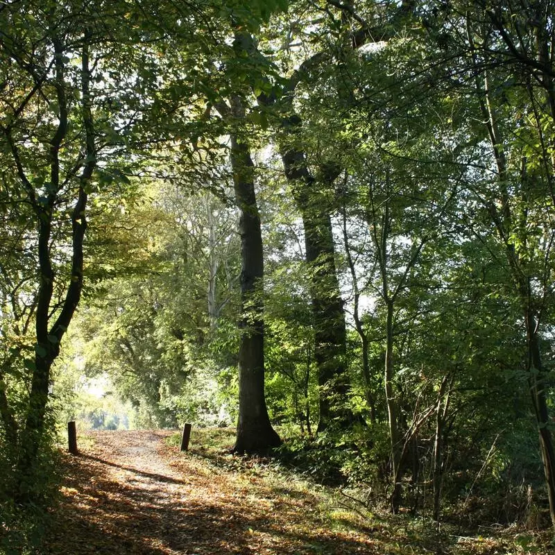 Walking Trail