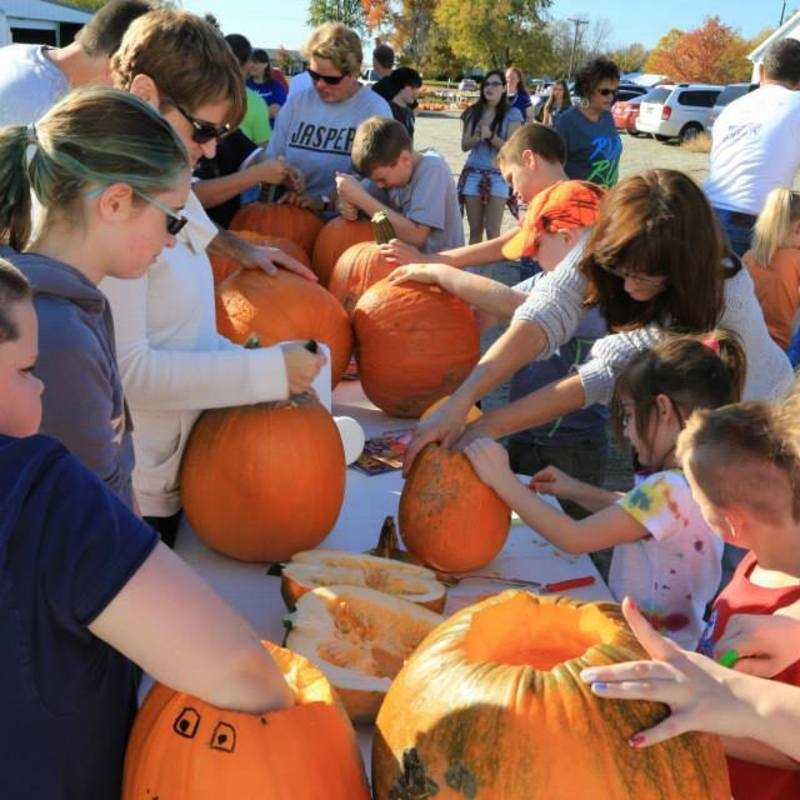 Pumpkin Patch 2014