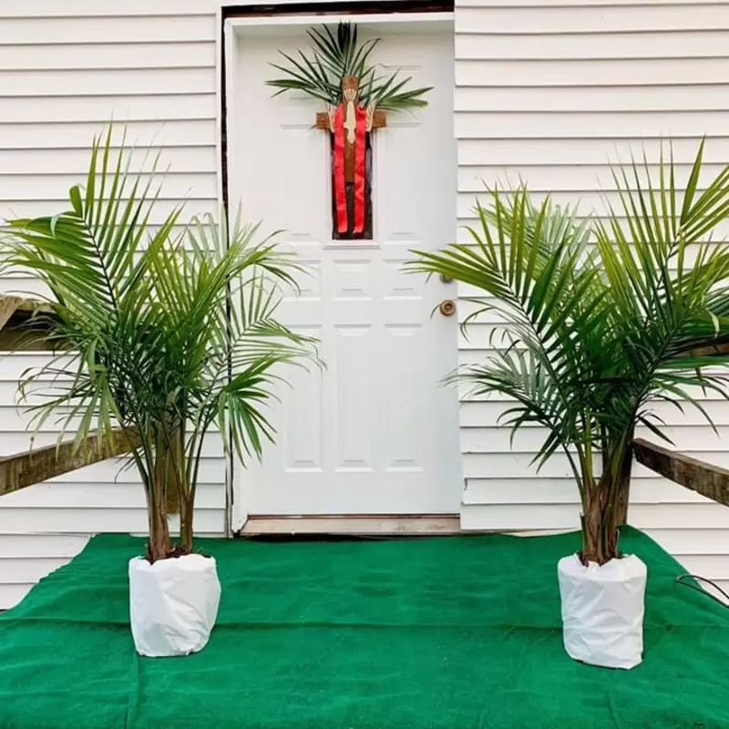 Palm Sunday 2020