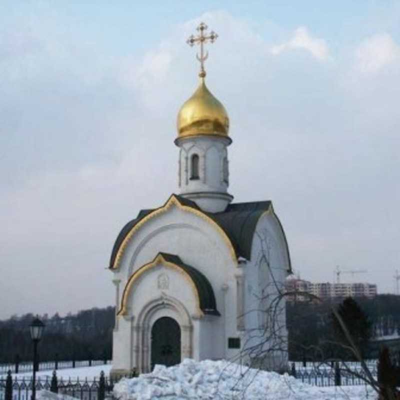 Theodore Icon of the Mother of God Orthodox Chapel - Moscow, Moscow