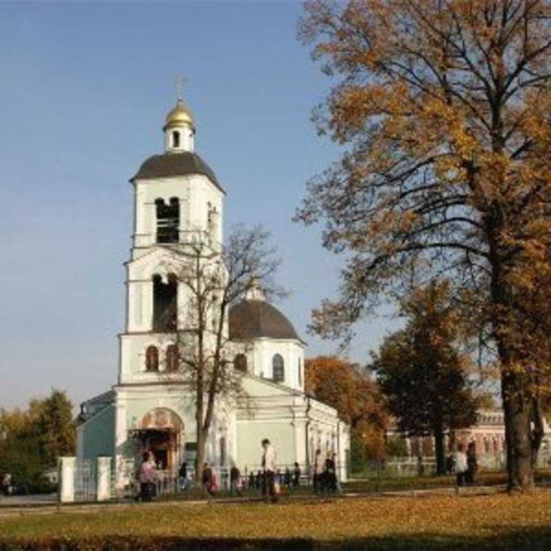 Icon of the Mother of God Live Giving Spring Orthodox Church - Moscow, Moscow