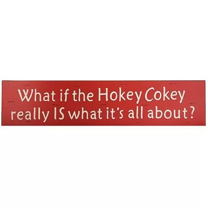 Question: What if the Hokey Cokey really IS what it's all about?