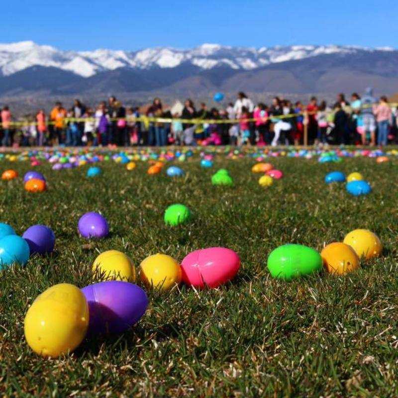 Great Egg Race 2016