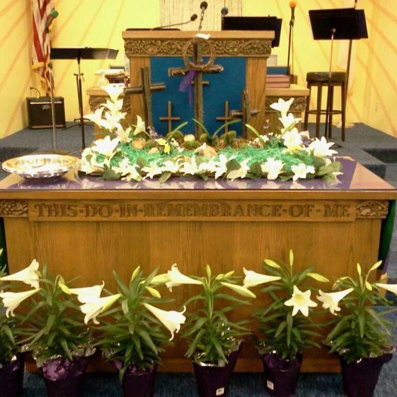 Palm Sunday 2013