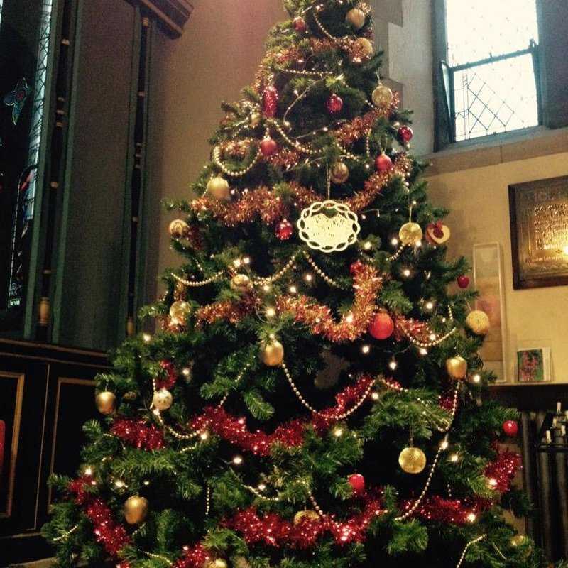 Trinity Christmas Tree 2014