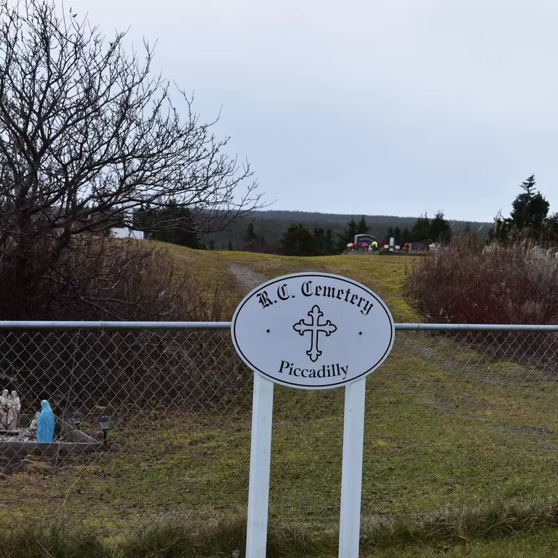 Piccadilly RC Cemetery Piccadilly Head, NL - photo courtesy of Wendell Mark Dominey/Cunningham