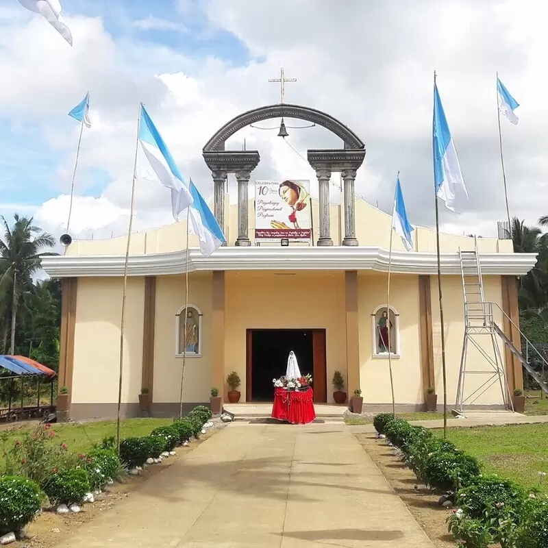 Our Lady of Rosa Mystica Parish - Tinambac, Camarines Sur