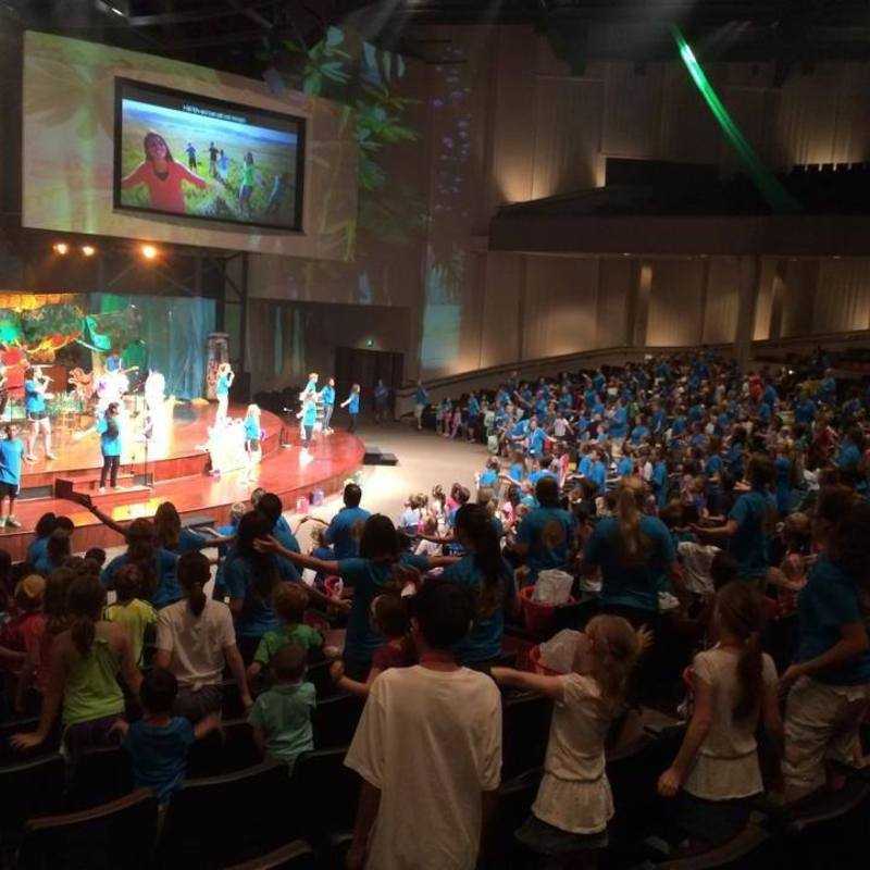 Jungle VBS