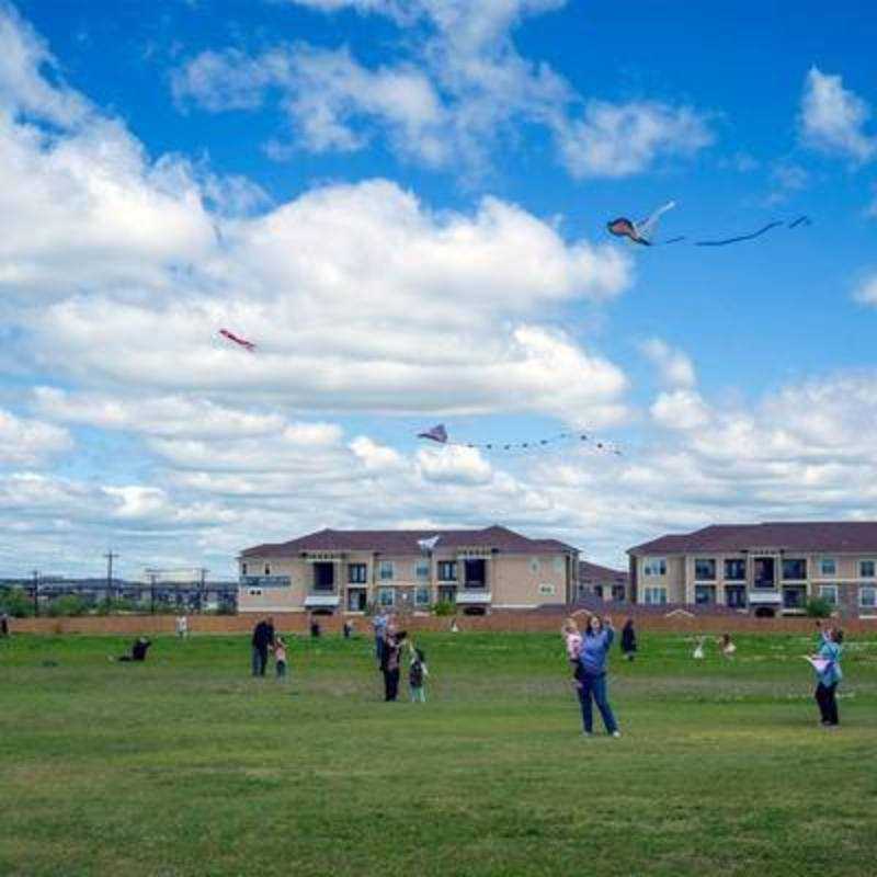 Kite Festival 2018