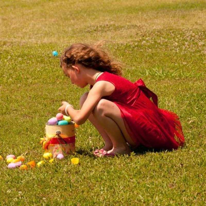 Easter Egg Hunt 2011