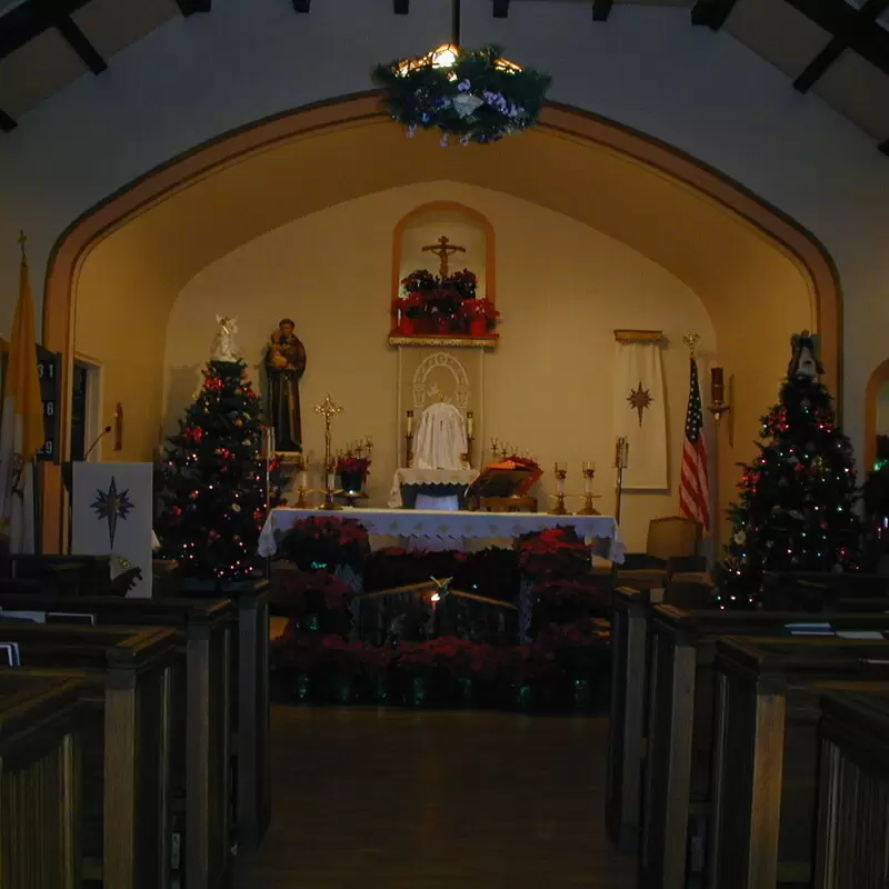 The sanctuary decorated for Christmas