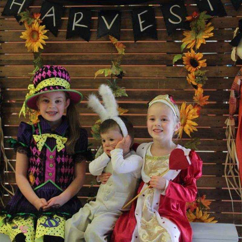 Harvest Festival 2016