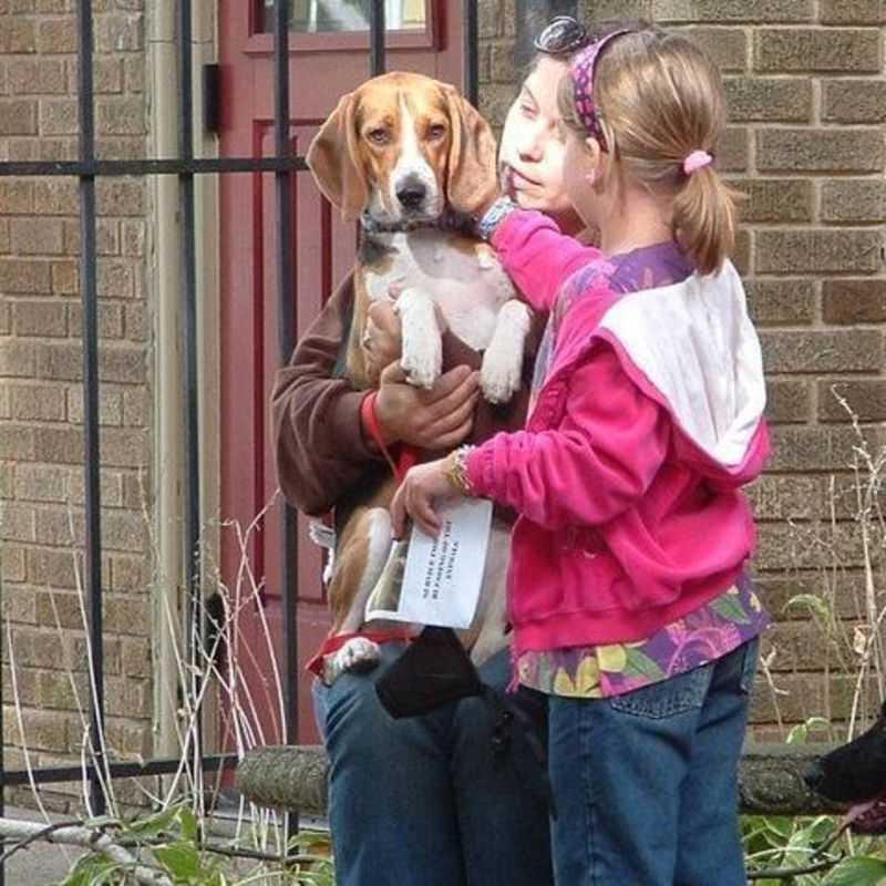 2010 Blessing of the Animals