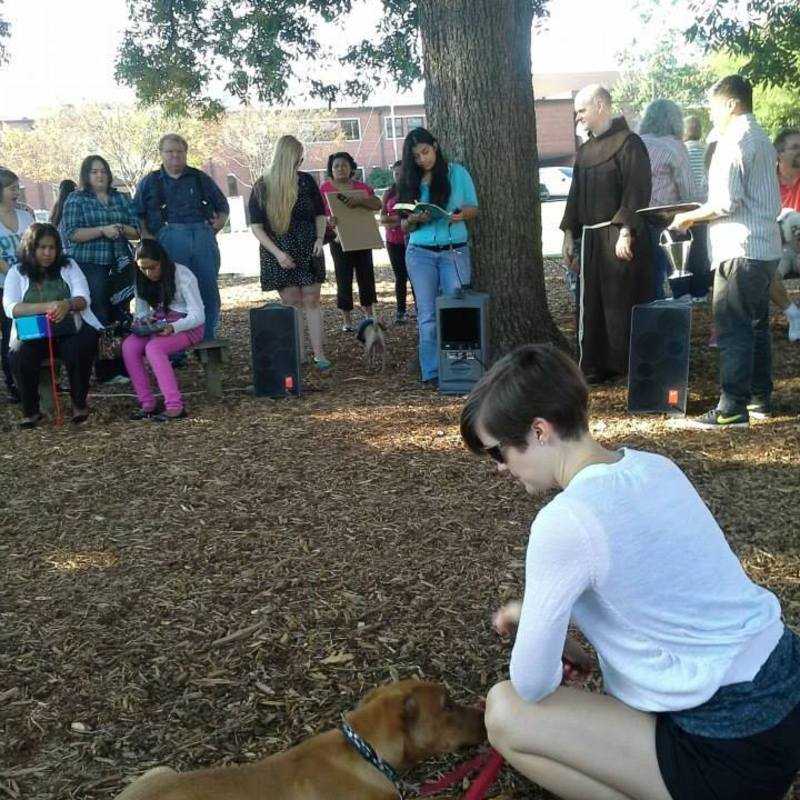 Blessing of the Animals 2013