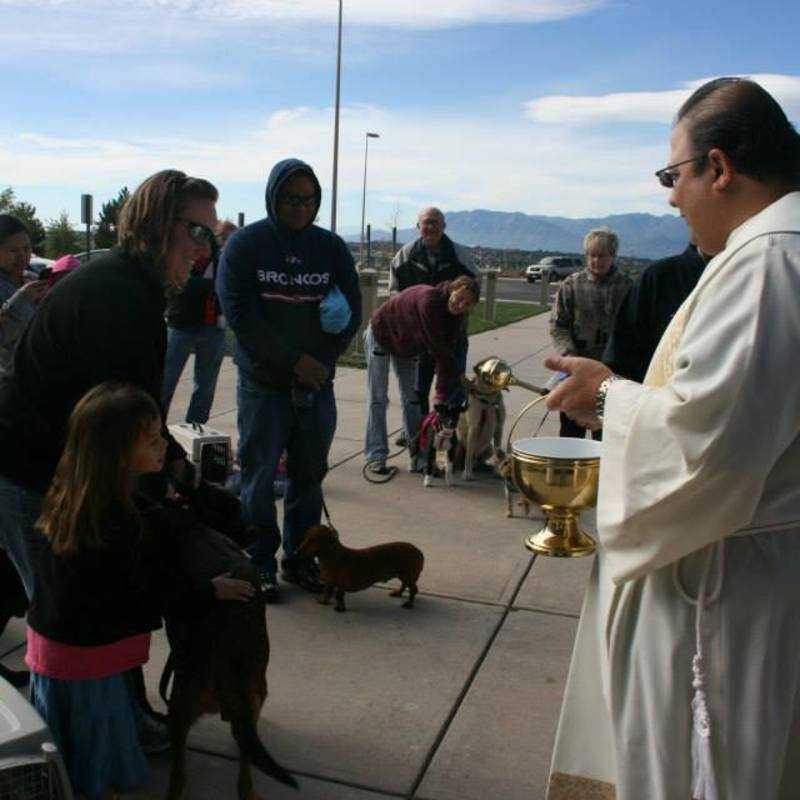 Blessing of the Pets 2013