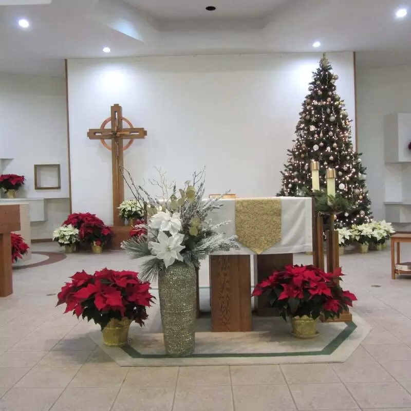 Ss. Peter & Paul sanctuary decorated for Christmas