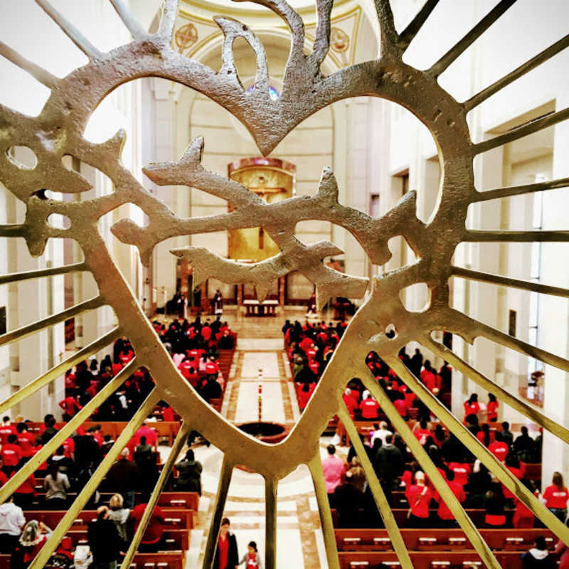 Co-Cathedral of the Sacred Heart - Houston, Texas