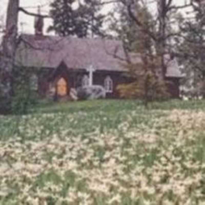 St Peter's and the Easter Lilies