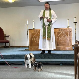 Blessing of the animals - 6 November 2022