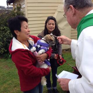 Blessing of the animals