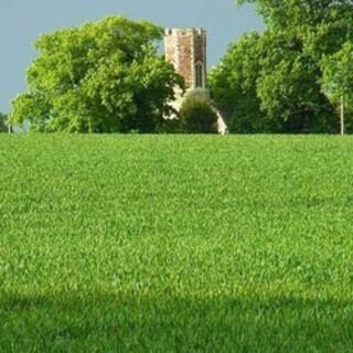 St Peter - Brampton, Norfolk