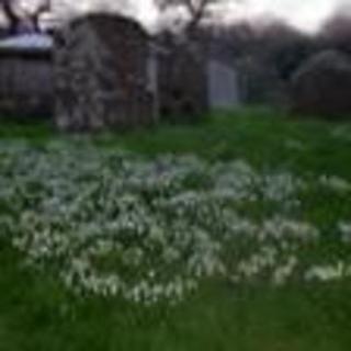 St Mary Magdalene - Little Hereford, Herefordshire