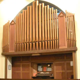 The organ