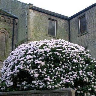 St Bartholomew - Meltham, West Yorkshire