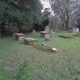 St Andrew - Dowlish Wake, Somerset