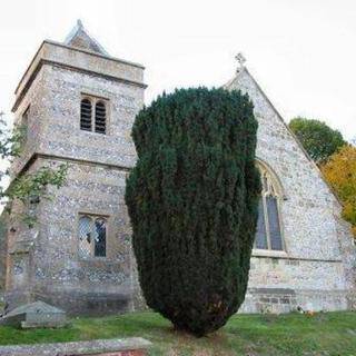 Holy Trinity - Easton Royal, Wiltshire