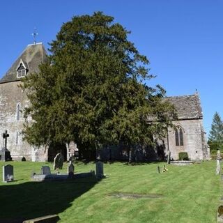 St David - Much Dewchurch, Herefordshire