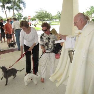 Blessing of Animals