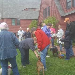 Blessing of the Animals