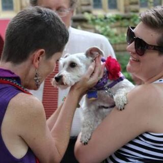 2014 Pet Blessing Ceremony