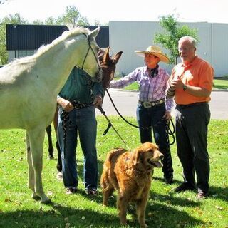 2015 Blessing of the Animals