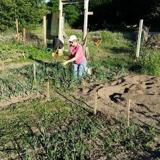 Community Garden