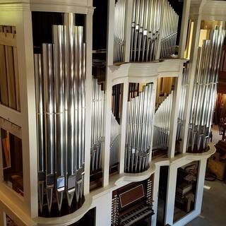 Our new organ