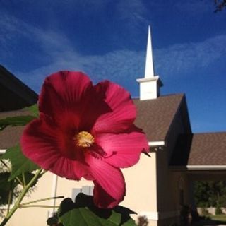 Gainesville Spanish Seventh-day Adventist Church Gainesville, Florida