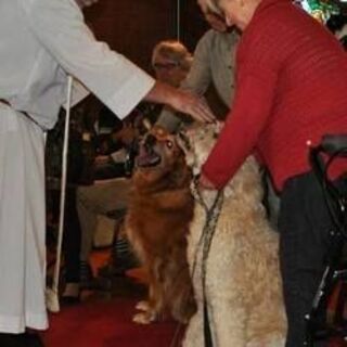 Blessing of the Animals