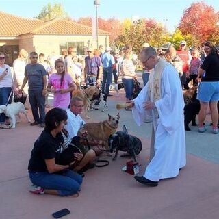 2015 Pet Blessing