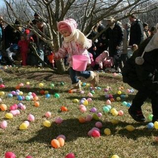 2013 Easter Egg Hunt