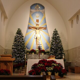 St. Francis Altar Christmas 2019