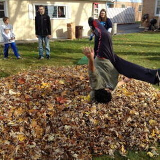 Leaf Raking Activity